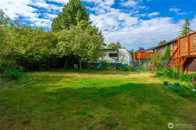 Huge Backyard with fruit trees!