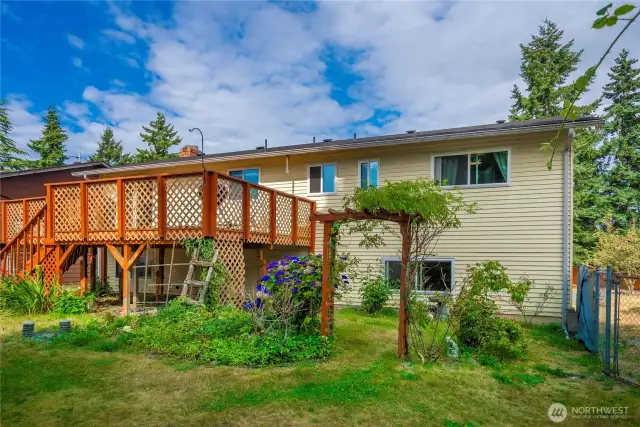 Huge Backyard with fruit trees!