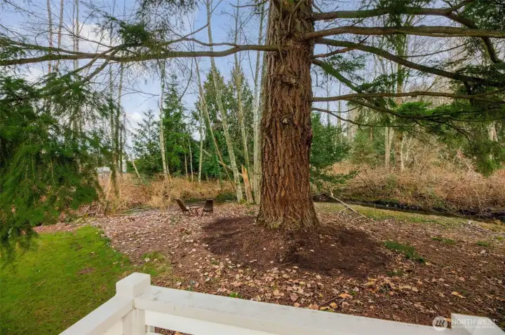 Certified Backyard Habitat