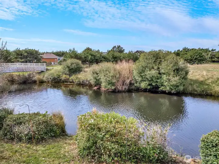 65' of water access directly from the lot.