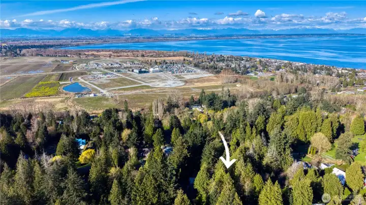 Close to Tsawwassen's Southlands Community. A fairly new development, close to the beachs, restaurants and more.
