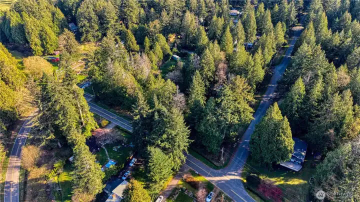 The lot is mostly cleared with a few mature trees on it.