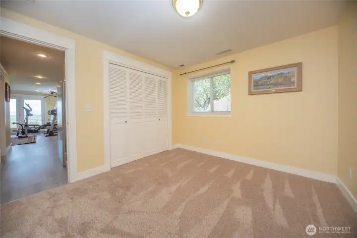 Lower Level - Bedroom 1 of 2