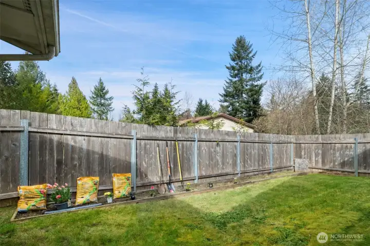 Nice sunny gared area in the fenced in back yard.