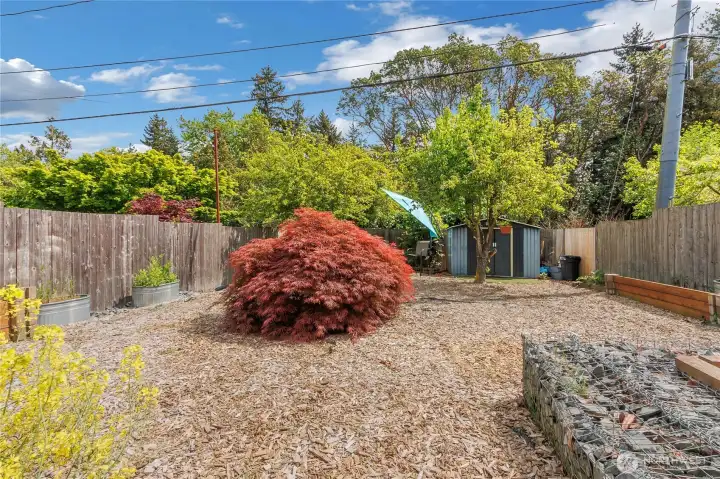 Spacious fully fenced backyard offering garden space, fruit trees, and a convenient outdoor shed