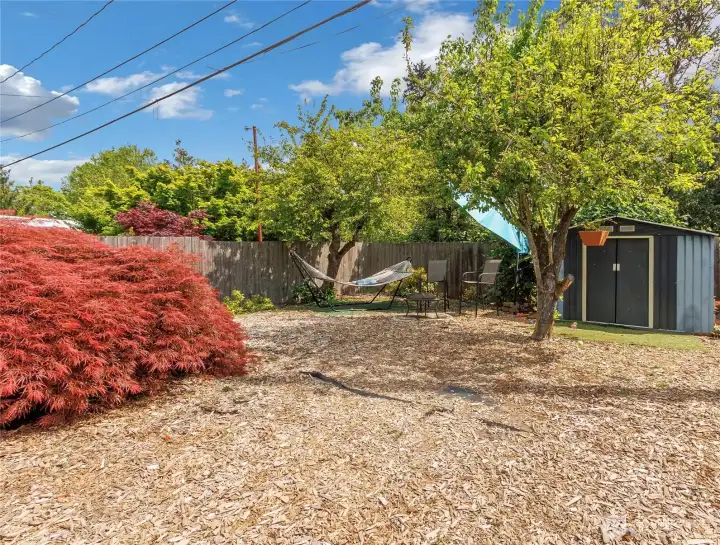 Backyard Space perfect for entertaining and everyday living