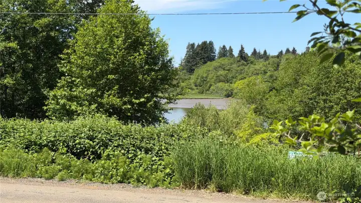 a view of the river from the driveway.