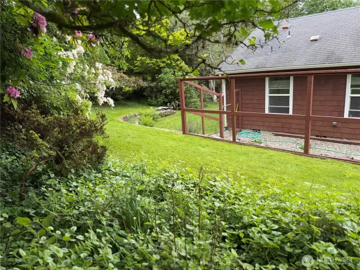 West end of the back yard