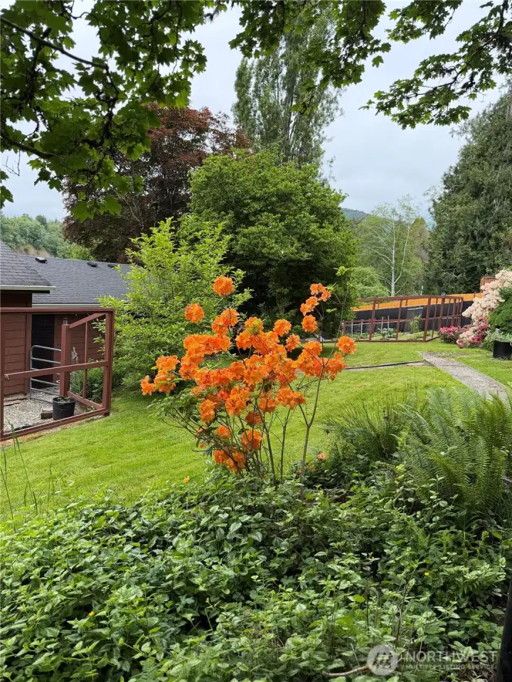 view of the landscaping from the pond area.