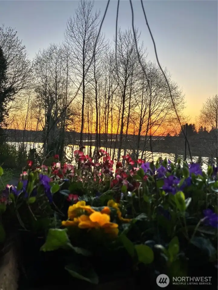 A fantastic place to grow an abundance of flowers