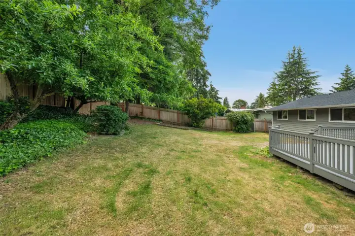 Large backyard retreat highlighting a blend of open lawn, fruit trees, and beautiful mature greenery