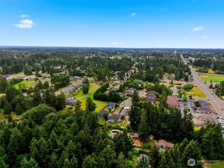 aerial photo of neighborhood