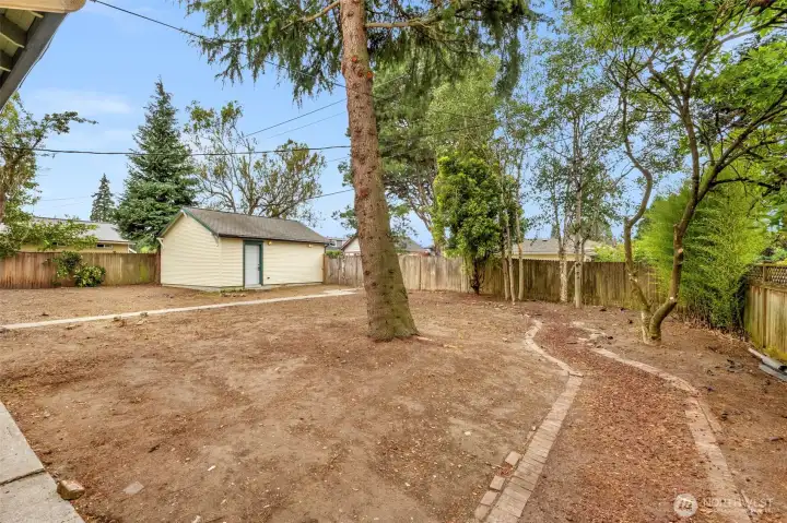 Impressively large backyard Impressively large backyard