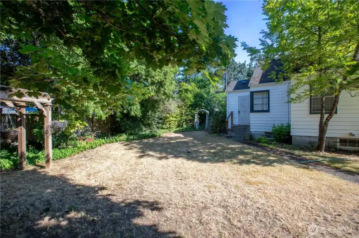 More backyard