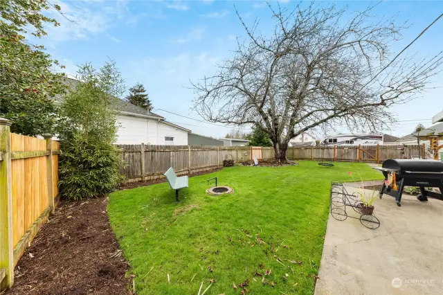 Fenced yard with built-in firepit