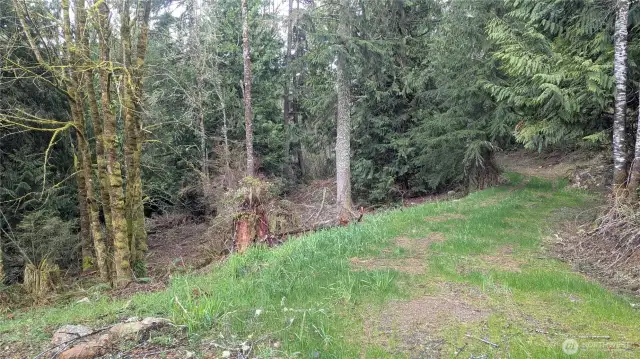 Driveway to proposed building site