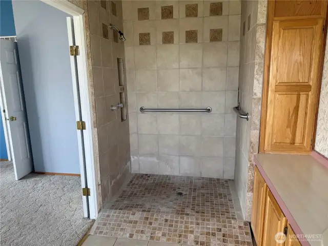 Primary walk in shower.