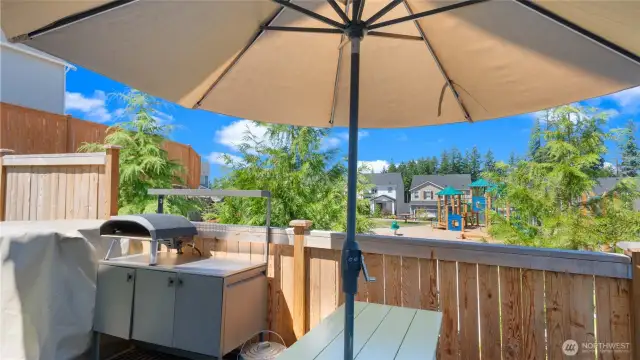 WOW! It's your bird's-eye-view of the park, from your own yard!  Hang out here, enjoy your BBQ, and watch the little ones play.