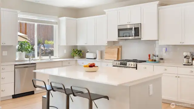 Chef's delight! So much cabinetry, HUGE quartz island, big window looking out at the backyard...