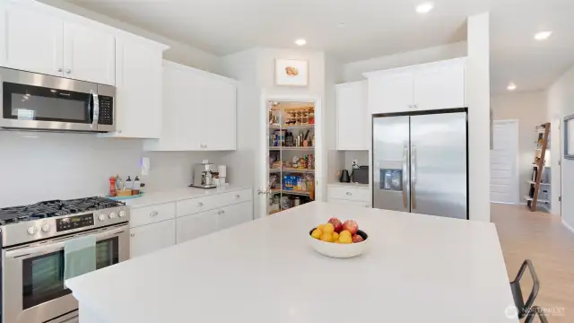 Need a walk-in-pantry? Okay, who doesn't?! It's a joy to be able to store so much and have it all at your fingertips.