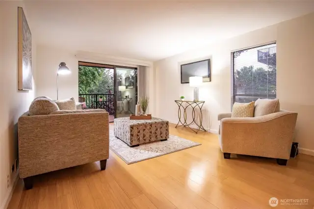 Living Room with Lots of Light from West facing window & South Facing Slider