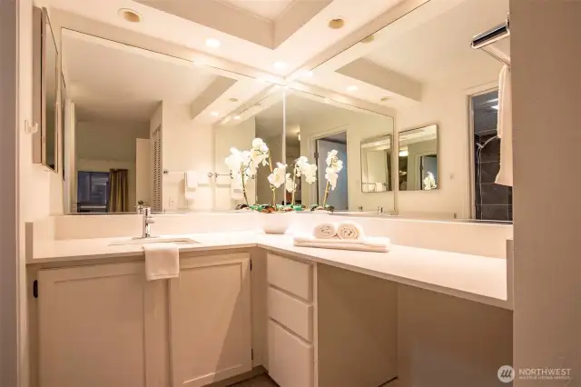 Primary Bath with new Quartz Counters