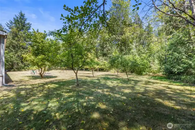 Fruit tree orchard and plenty of space for your gardens.