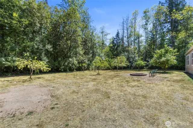 Huge level backyard with firepit, fruit orchard and plenty of space for a large garden.