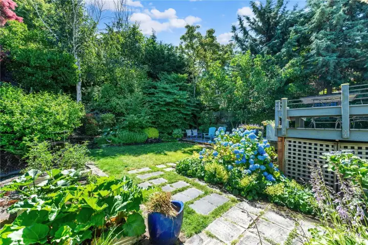 Here is another photo of the backyard from a different angle. This is a dream garden full of year round color spots and plantings.