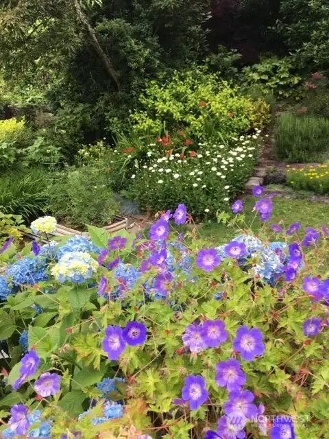 There are hidden color spots that come and go with the seasons. The gardens are planted so there is always a color spot to enjoy in this backyard, whatever the season.