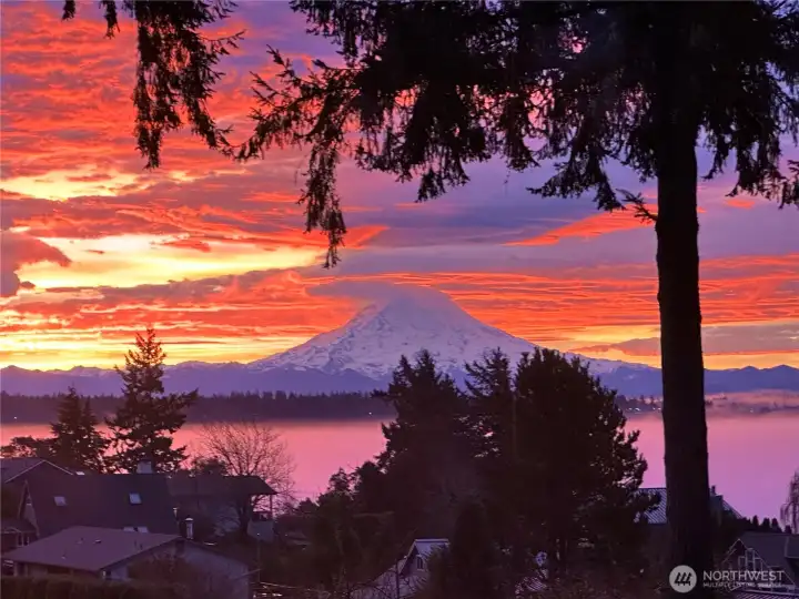 Beautiful Views of Mt Rainier, Puget Sound. & Chambers Bay