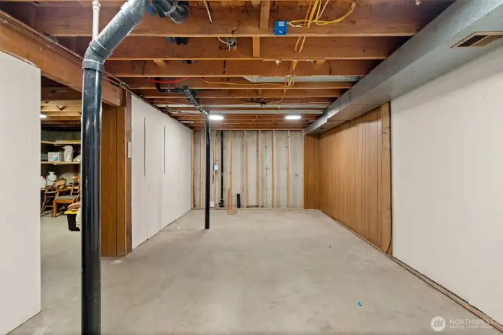Unfinished basement
