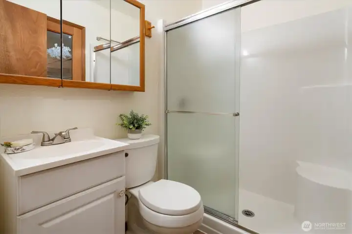 This well-kept Garden Level bathroom offers a bright step-in shower and practical storage steps from the nearby bedrooms and family room.