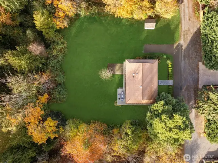 An aerial view reveals the full half acre bordered by mature trees and adjacent to a two acre wetland offering rare privacy and a close connection to nature.