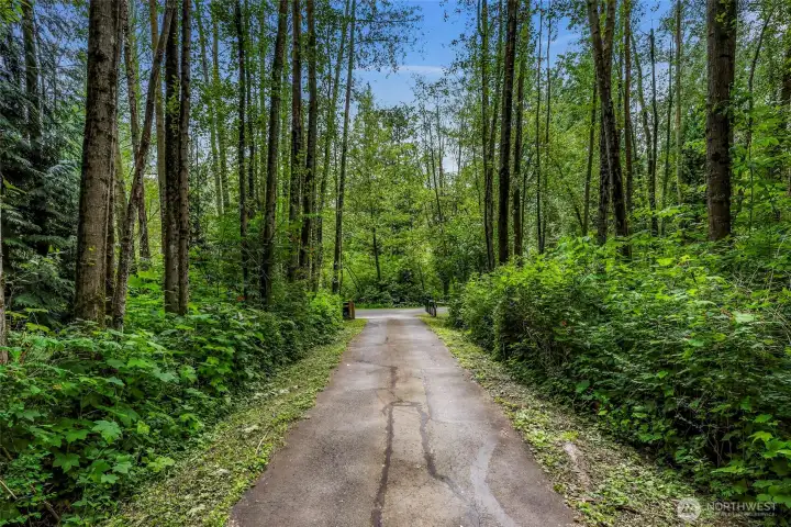 Beautiful private driveway