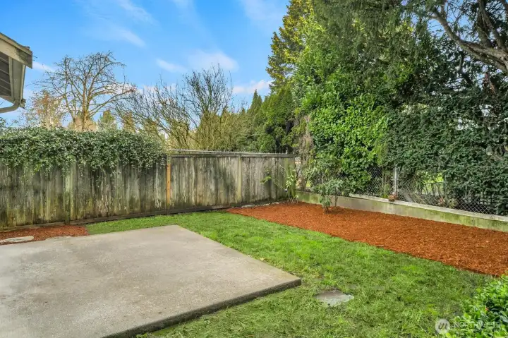 Flat back yard area