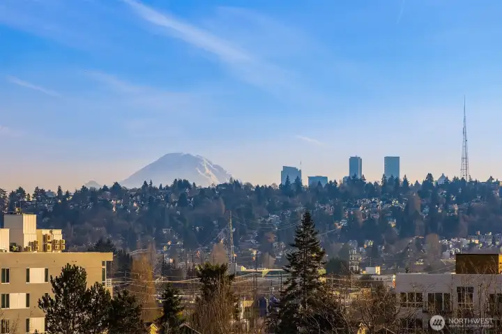 Beautiful rooftop views