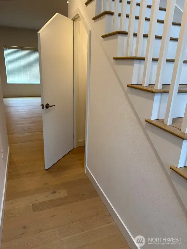Huge storage closet under the stairs with lighting.