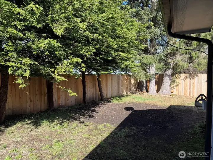 Spacious Fenced Back Yard