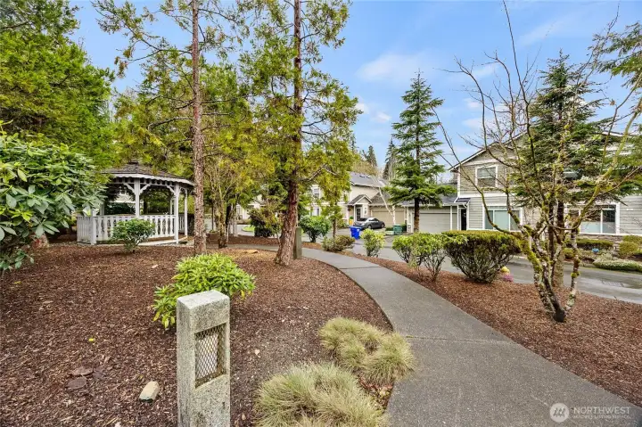 Play Ground in front the house