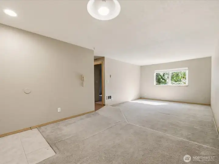 South Facing window with lots of natural light