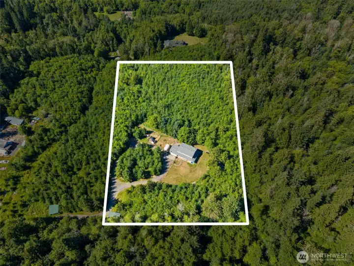 Facing north with home in middle of property. Working forestland on east side.