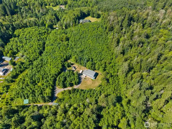 Facing north with home in middle of property. Working forestland on east side.