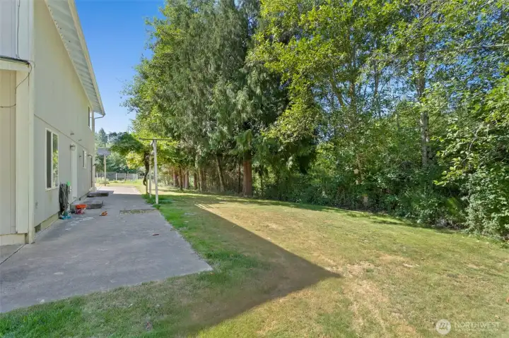 Back yard.
