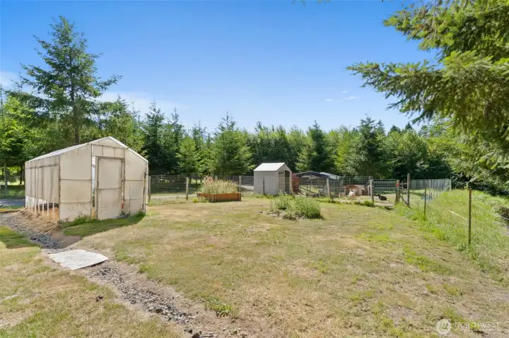 Side yard by circle driveway with greenhouse on left. Items in goat pen don't stay. 13 year-old trees in background are on property.