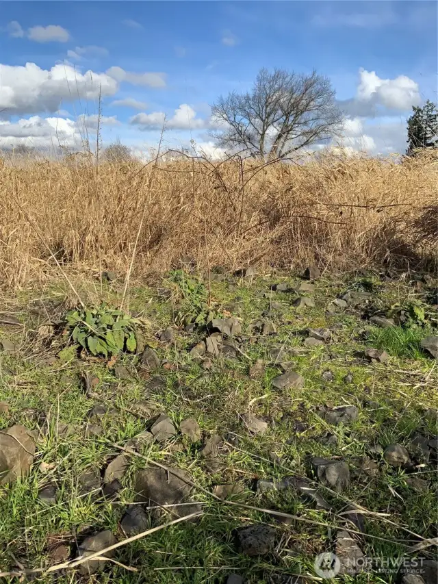 Rock-fill bridge that crosses slough bisecting the property. Bridge is located along west side of property