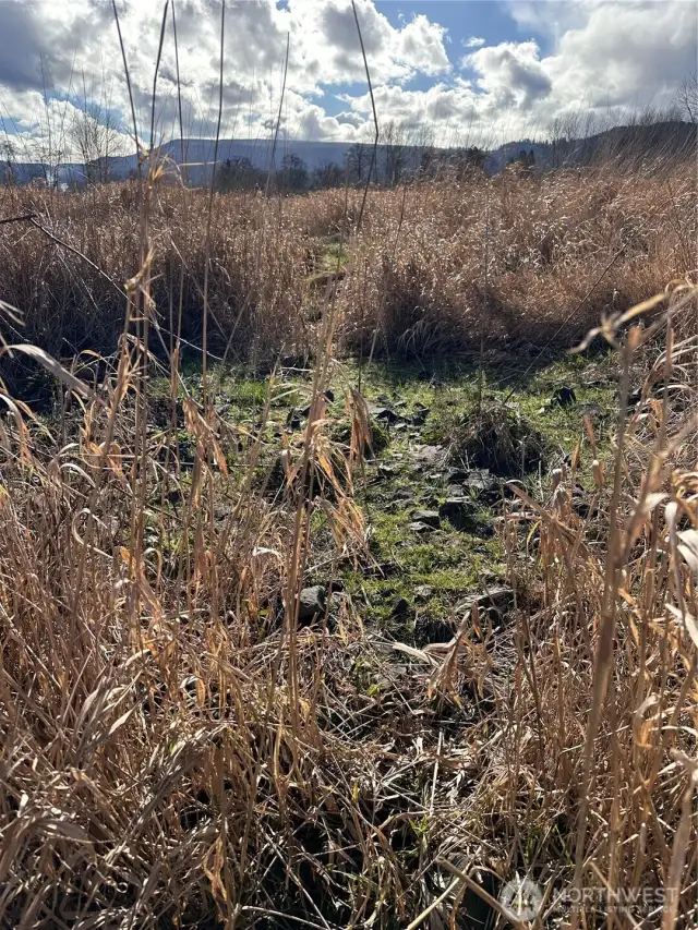 Rock-fill bridge that crosses slough bisecting the property. Bridge is located along west side of property
