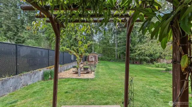 Arbor