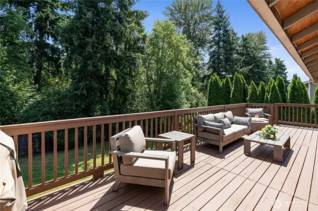Treated and painted deck