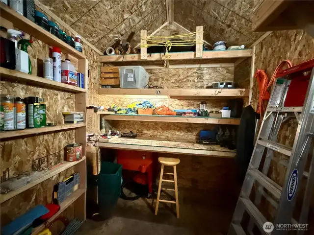 Lots of shelving- all gardening tools, and ladder stay!